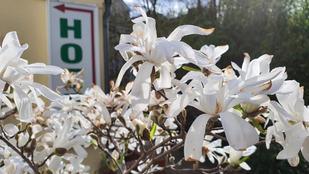 Bornholmer Hof Im Prenzlauer Berg Berlijn Buitenkant foto